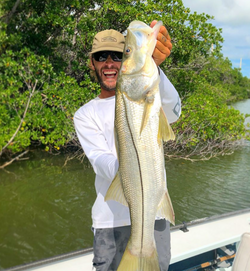 Snook the best of Islamorada fishing.